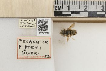 Media type: image;   Entomology 794926 Aspect: Labels